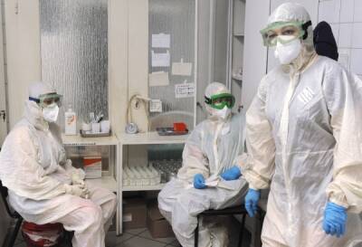 В России провели более 231 млн тестов на коронавирус