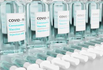 Более 2,4 млн жителей Петербурга завершили вакцинацию от COVID-19