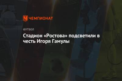 Стадион «Ростова» подсветили в честь Игоря Гамулы