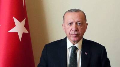 Эрдоган назвал соцсети одной из основных угроз мировой демократии