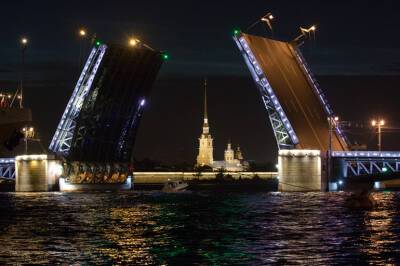 Цвета триколора украсят Дворцовый мост в Санкт-Петербурге в честь Дня Конституции