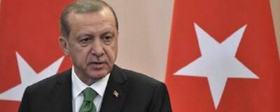 Президент Турции Эрдоган назвал соцсети глобальной угрозой безопасности