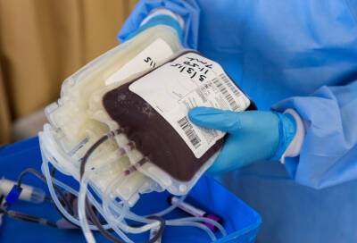 В Смольном опровергли слухи о возможном дефиците донорской крови на праздники
