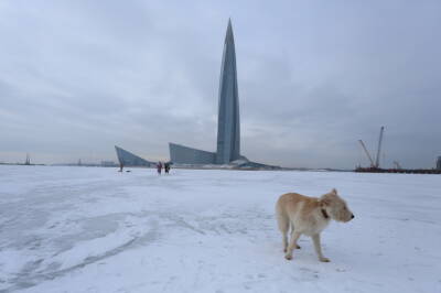 Петербурженка провалилась под лед Финского залива в парке 300-летия