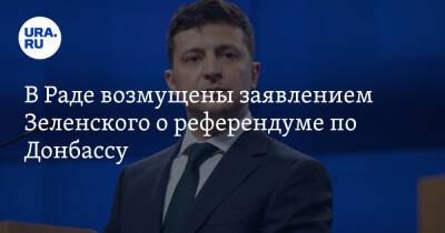 В Раде возмущены заявлением Зеленского о референдуме по Донбассу