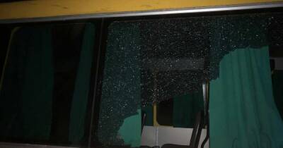 Выпавшее из грузовика бревно пробило окно маршрутки на Украине