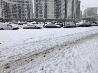 Петербург в воскресенье приморозит, а с неба будет срываться «снегодождь»