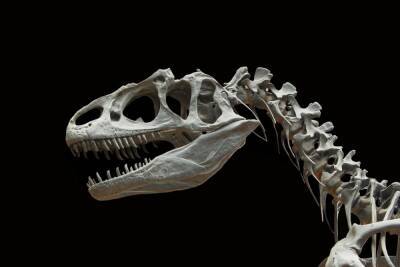 Ученые определили время года, когда начали вымирать динозавры