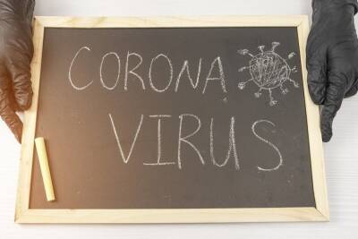 В Карелии по данным на 12 декабря 227 зараженных коронавирусом
