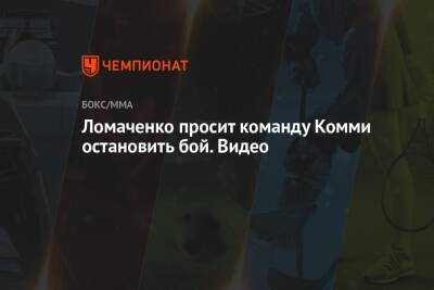 Ломаченко просит команду Комми остановить бой. Видео