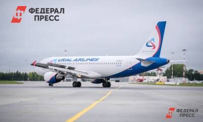 Бастрыкин велел разобраться, почему самолет Екатеринбург – Сочи экстренно сменил курс