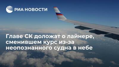 Глава СК Бастрыкин поручил доложить об инциденте с бортом "Уральских авиалиний" близ Сочи