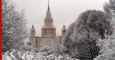 Синоптик объяснил появление на деревьях в Москве редкой изморози