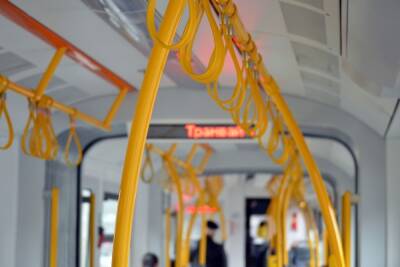 Пять маршрутов общественного транспорта изменят в Воронеже