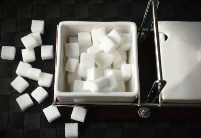 Диетолог Лора Бурак перечислила продукты, подавляющие тягу к сахару