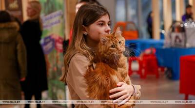 ФОТОФАКТ: В ТЦ "Столица" проходит международная выставка кошек и котят