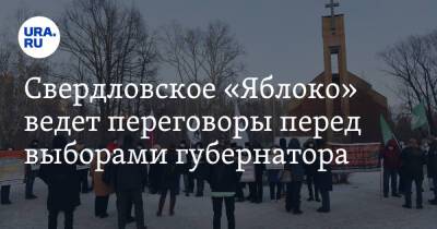 Свердловское «Яблоко» ведет переговоры перед выборами губернатора. Видео