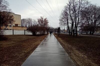 Синоптики сделали прогноз погоды в Тамбовской области на начало следующей недели