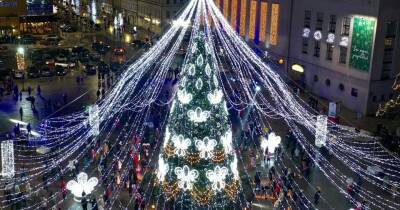 В Даугавпилсе установили Рождественскую ель под световым куполом