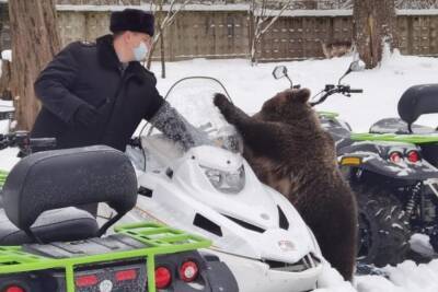 Медведь помогал проводить осмотр спецтехники в Ленобласти
