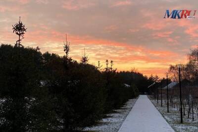 13 декабря в Рязанской области ожидается мокрый снег и слабый мороз