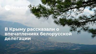 Роман Чегринец: делегация была поражена теплым приемом крымчан