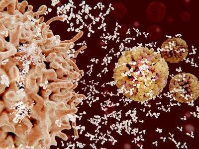 Ученые выяснили, сколько сохраняется иммунитет к коронавирусу: новые данные и мира