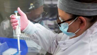 В ВОЗ сообщили о выявлении омикрон-штамма коронавируса в 63 странах