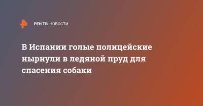 В Испании голые полицейские нырнули в ледяной пруд для спасения собаки