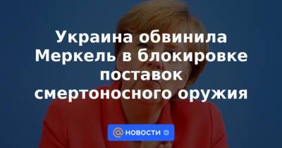 Украина обвинила Меркель в блокировке поставок смертоносного оружия