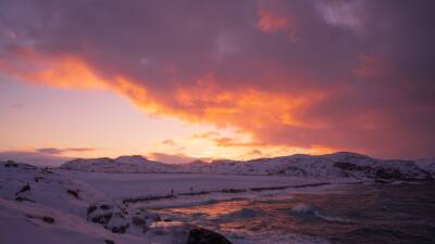 Пожары ускорили таяние вечной мерзлоты в Арктике