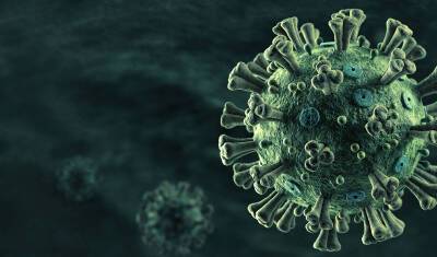 Два года без ответа - откуда пришел коронавирус? Приводим все версии