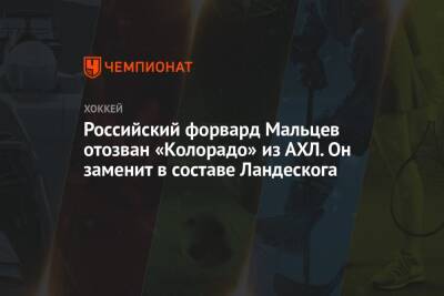 Российский форвард Мальцев отозван «Колорадо» из АХЛ. Он заменит в составе Ландескога