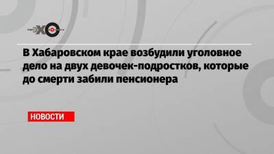 В Хабаровском крае возбудили уголовное дело на двух девочек-подростков, которые до смерти забили пенсионера