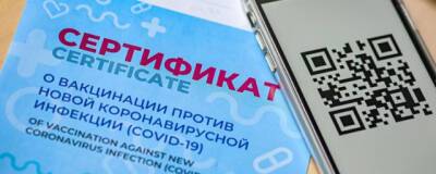 Новосибирские рестораторы из-за QR-кодов потеряли 30-70% выручки