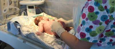 В Новосибирской области скончались 120 новорожденных за 10 месяцев