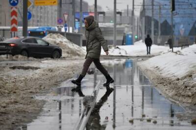 Москвичей предупредили об аномальном потеплении с понедельника