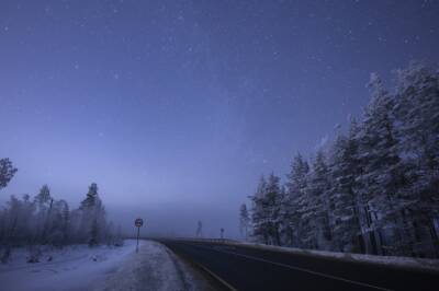 Красивейший зимний лес попал в объектив фотографа в Ленобласти