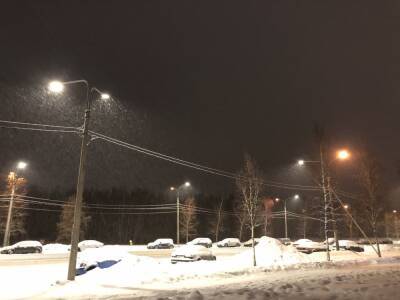 Оттепель завалит Петербург мокрым снегом