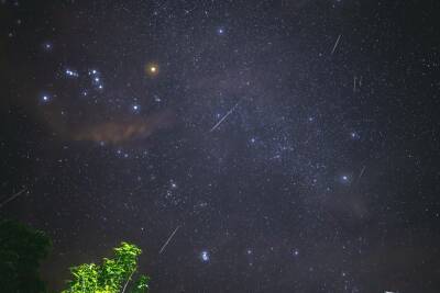 Астраханцы смогут увидеть самый яркий звездопад года
