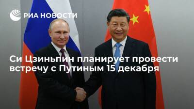 Си Цзиньпин планирует провести встречу с Путиным в формате видеоконференции 15 декабря