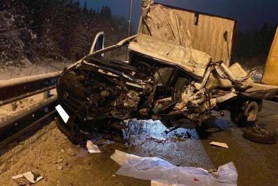 Опубликованы фото с места смертельной аварии с грузовиком в Тверской области