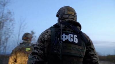 ФСБ: в России выявлены 106 сторонников украинской неонацистской группировки