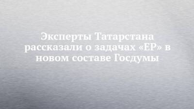 Эксперты Татарстана рассказали о задачах «ЕР» в новом составе Госдумы