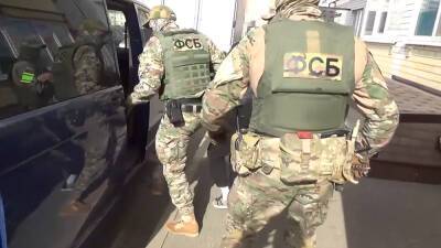 ФСБ задержала 106 сторонников украинской неонацистской группировки