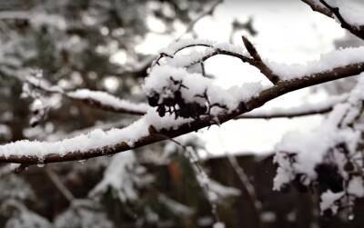 Много снега и мороз: какой будет погода на святого Николая, 19 декабря