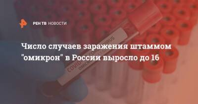 Число случаев заражения штаммом "омикрон" в России выросло до 16