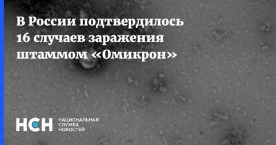 В России подтвердилось 16 случаев заражения штаммом «Омикрон»