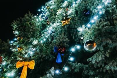В Волгограде к новогодним праздникам украсят более 40 елей