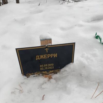 На Корткеросском кладбище похоронили животное, местные жители возмущены